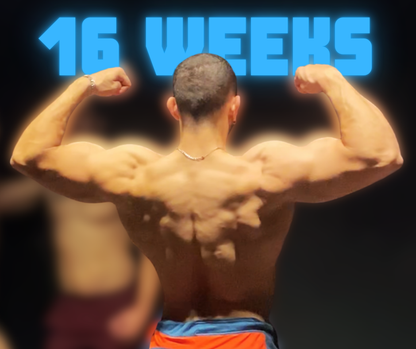 Custom Training Program : 16 Weeks