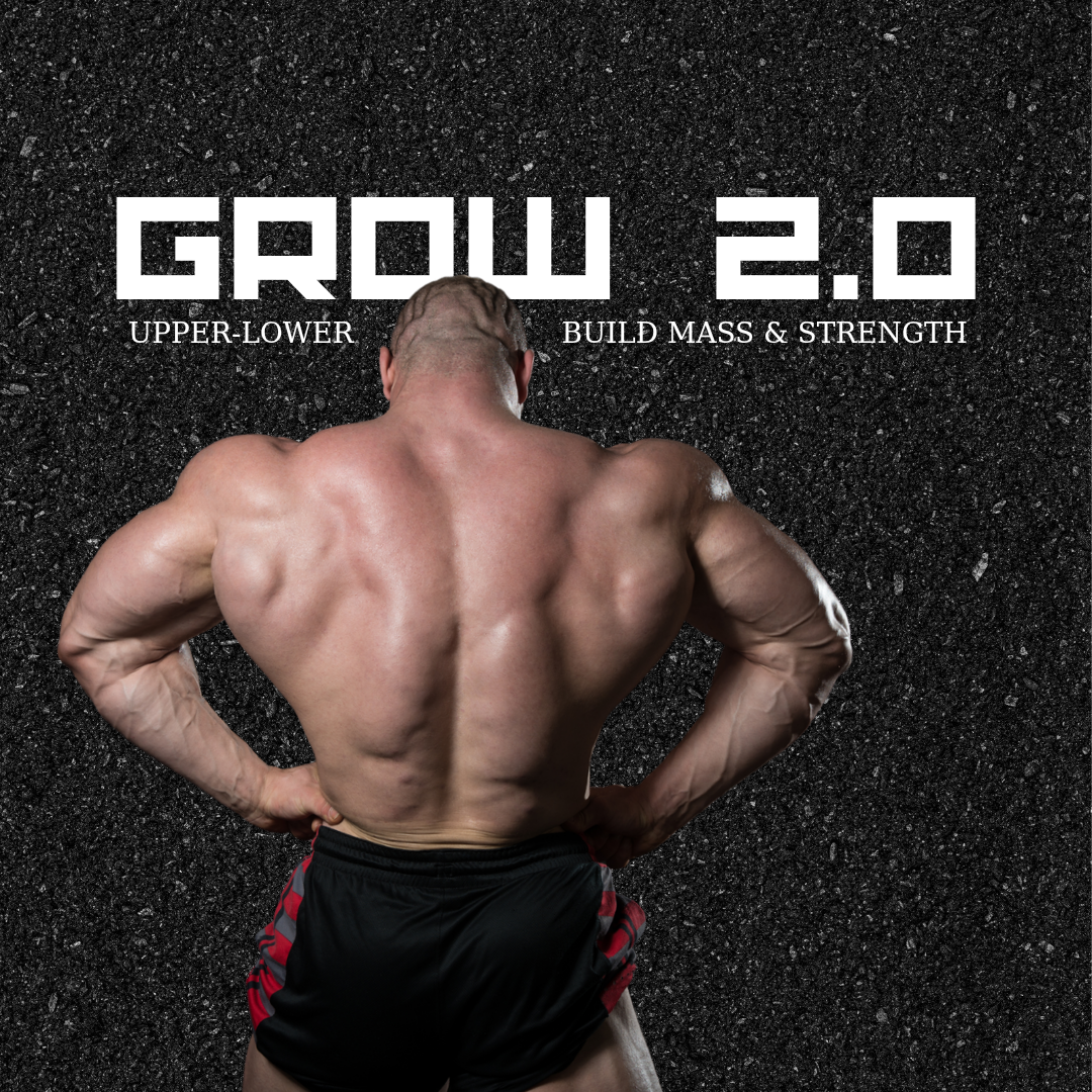[GYM] NOVICE TO ADVANCED : UPPER-LOWER 8-WEEK PROGRAM